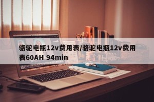 骆驼电瓶12v费用表/骆驼电瓶12v费用表60AH 94min