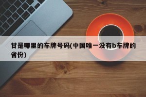 甘是哪里的车牌号码(中国唯一没有b车牌的省份)