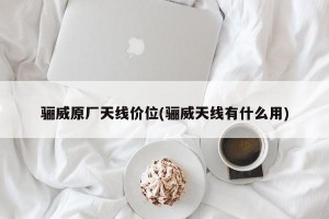 骊威原厂天线价位(骊威天线有什么用)