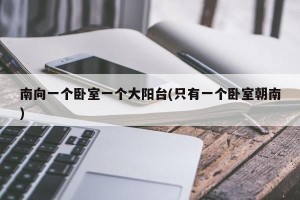 南向一个卧室一个大阳台(只有一个卧室朝南)