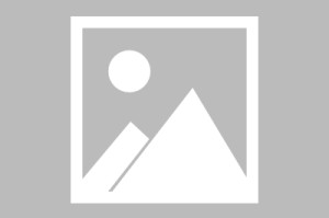 31省区市新增确诊3例本土1例/31省区市新增本土确诊 13例