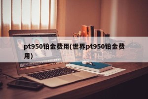 pt950铂金费用(世界pt950铂金费用)