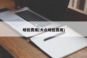 明锐费用(大众明锐费用)